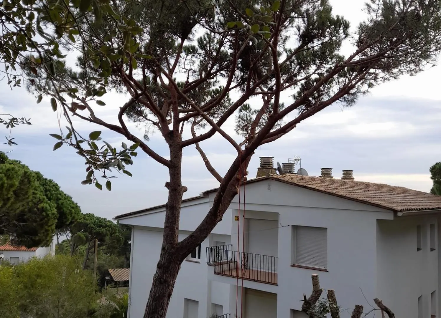 Charming Apartment In Calella De Palafrugell